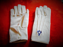 Load image into Gallery viewer, Master Mason Regalia Case With Lambskin Apron & Accessories