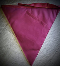 Load image into Gallery viewer, Royal and Select Officer/Past TIM Apron
